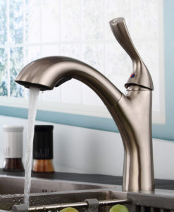 Canajoharie Brushed Nickel Finish Kitchen Sink Faucet with Pull Out Sprayer 2