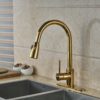 Columbine Gold Finish Kitchen Sink Faucet with Pull Out Sprayer