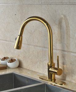 Columbine Gold Finish Kitchen Sink Faucet with Pull Out Sprayer